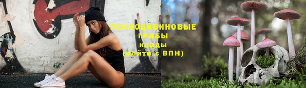 стаф Верхний Тагил