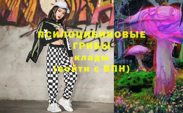 стаф Верхний Тагил