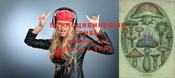 стаф Верхний Тагил