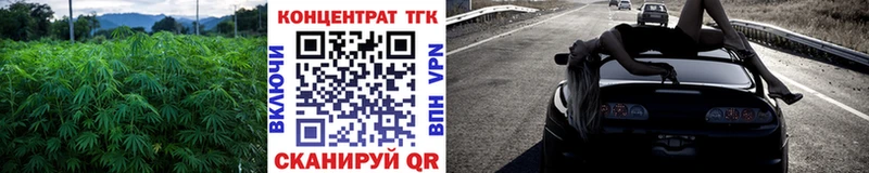 ТГК Wax  где купить наркотик  Гдов 