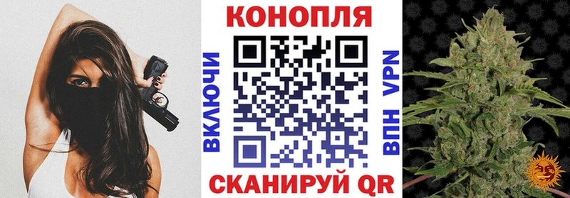 МАРИХУАНА планчик  наркошоп  Гдов 